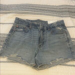 American Eagle Outfitters Women's Light Blue Ripped Jean Shorts   A